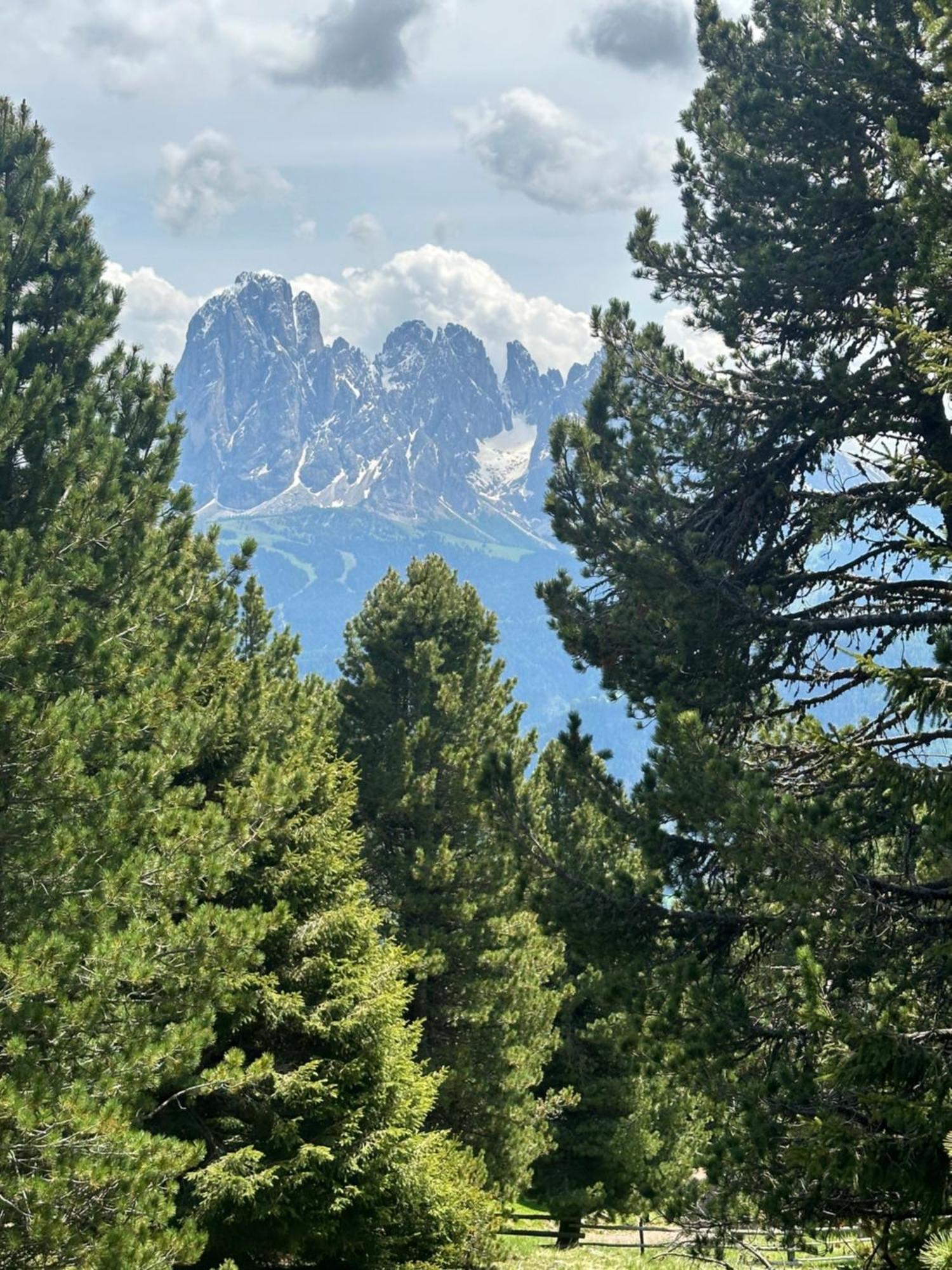 Chalet Da Mont Resciesa Ortisei Esterno foto
